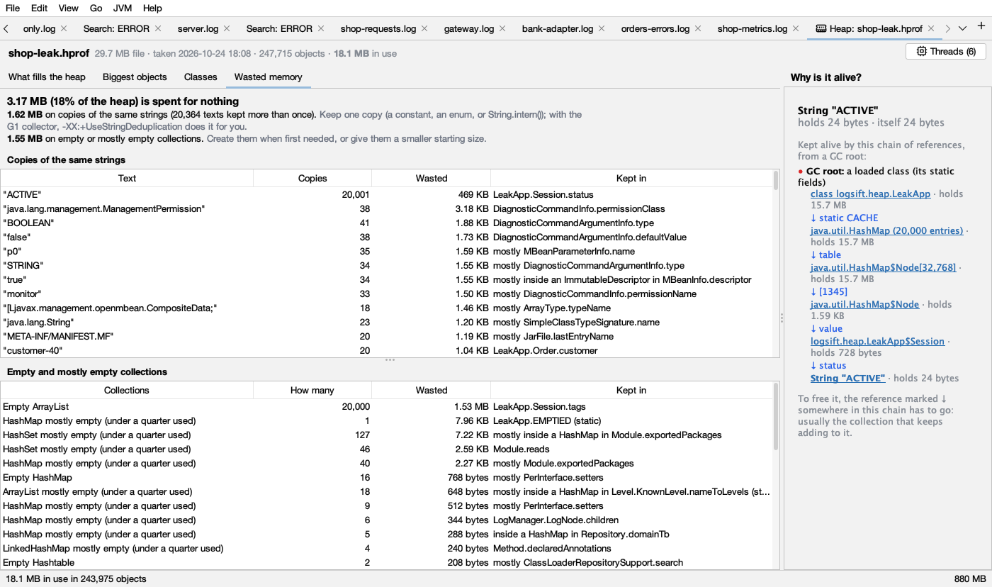 Wasted memory in a heap dump: copies of strings and empty collections