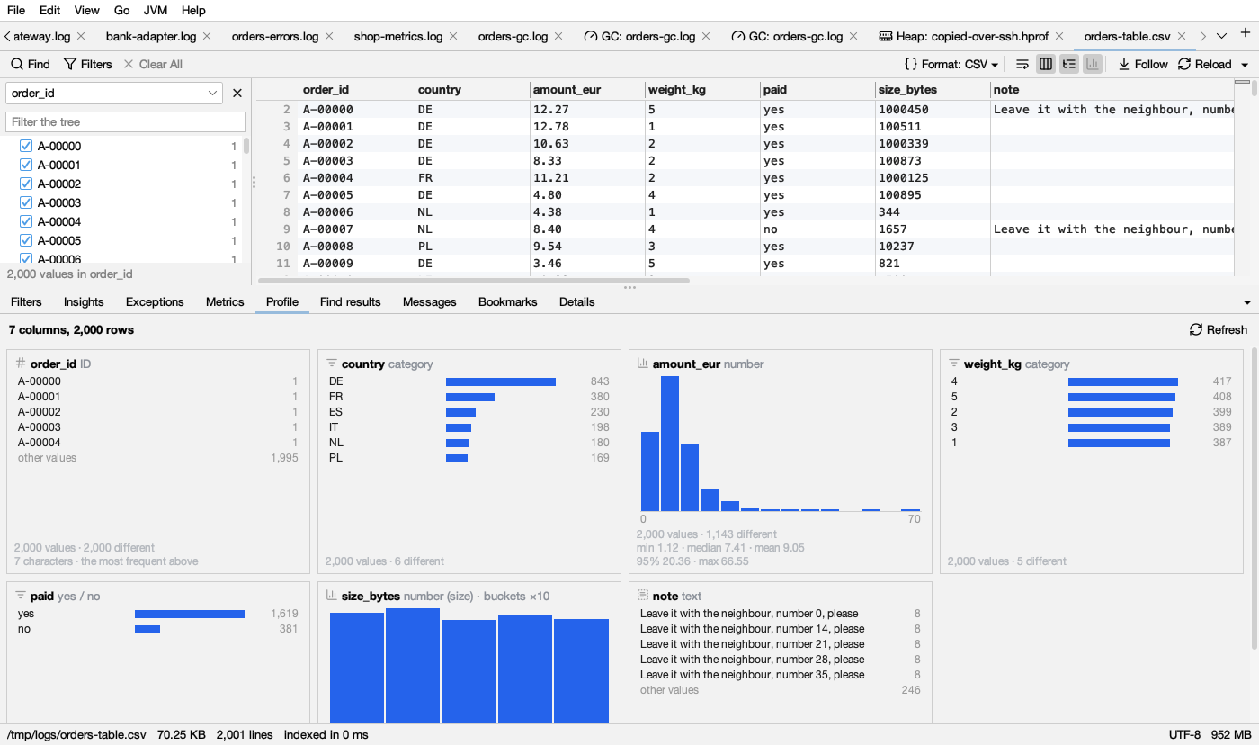 The Profile of a table: an ID column, countries, amounts as a histogram, yes / no, sizes in buckets ×10, and notes
